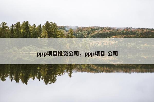 ppp项目投资公司，ppp项目 公司