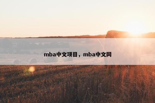 mba中文项目，mba中文网