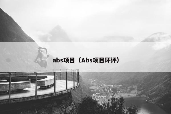abs项目（Abs项目环评）