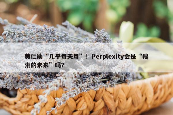 黄仁勋“几乎每天用”！Perplexity会是“搜索的未来”吗？
