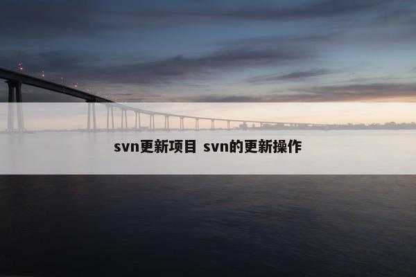 svn更新项目 svn的更新操作