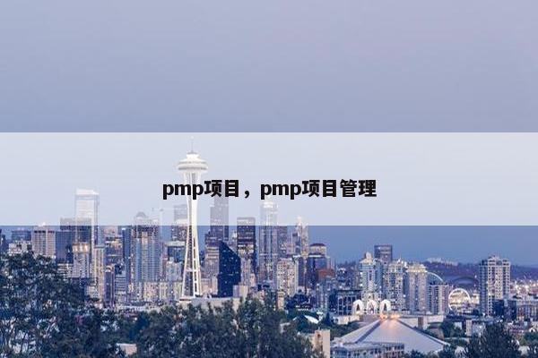 pmp项目，pmp项目管理