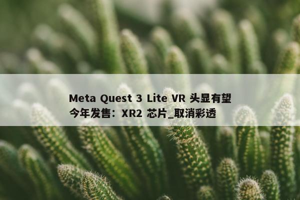 Meta Quest 3 Lite VR 头显有望今年发售：XR2 芯片_取消彩透