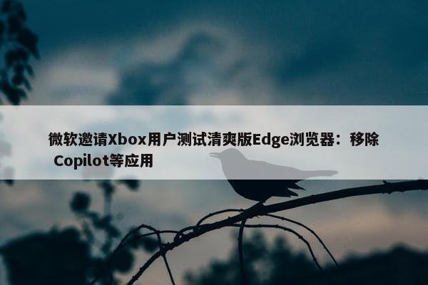 微软邀请Xbox用户测试清爽版Edge浏览器：移除 Copilot等应用