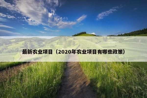 最新农业项目（2020年农业项目有哪些政策）