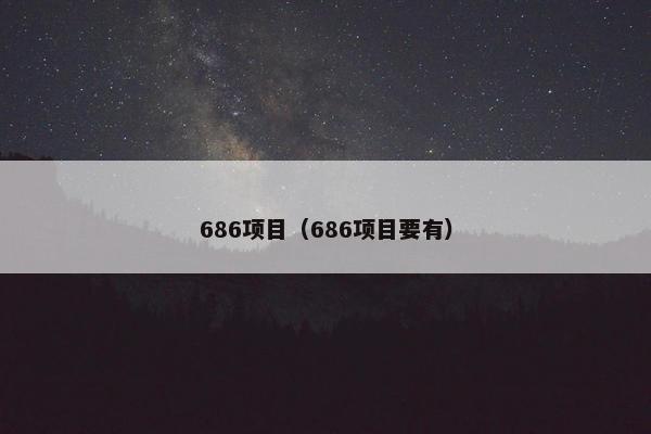 686项目（686项目要有）
