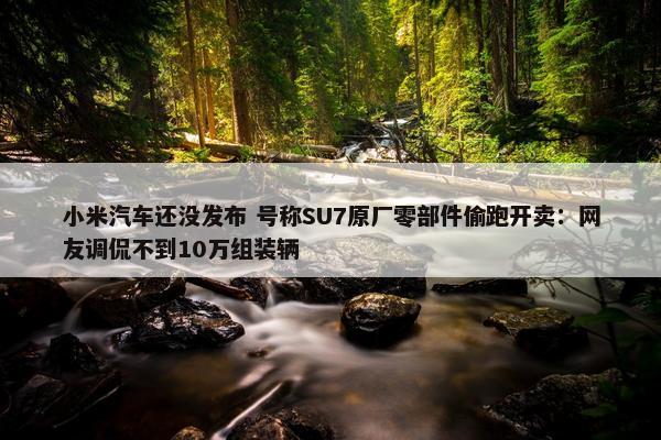 小米汽车还没发布 号称SU7原厂零部件偷跑开卖：网友调侃不到10万组装辆