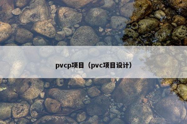 pvcp项目（pvc项目设计）