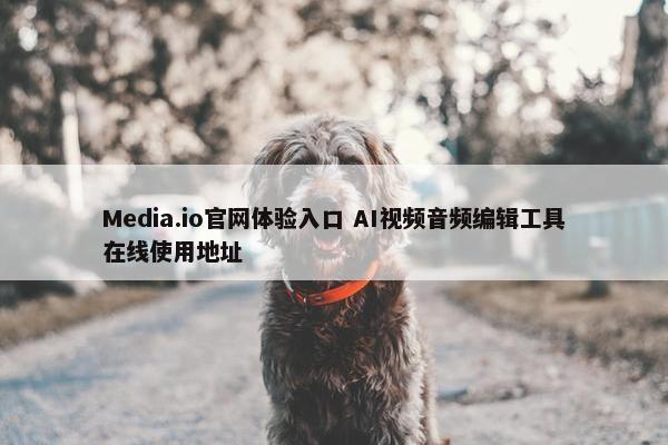 Media.io官网体验入口 AI视频音频编辑工具在线使用地址