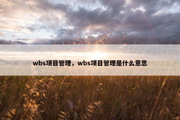 wbs项目管理，wbs项目管理是什么意思