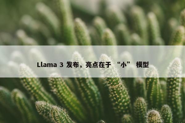 Llama 3 发布，亮点在于 “小” 模型
